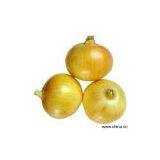 Sell Onions