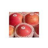 High Quality Fuji Apple thumbnail-1