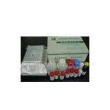 Neomycin ELISA Test Kit thumbnail-1