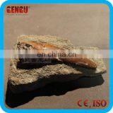 Museum High Simulation Artificial Fiberglass Prehistoric Dinosaur Tooth