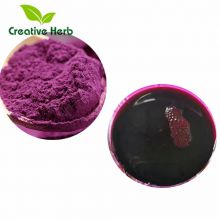 ISO.QS.Halal,Kosher certified natural food colorants pure purple sweet potato powder