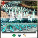 Garden Seeding Plant Protect Plastic Tree Guard thumbnail-6