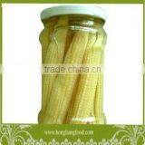 High Quality Canned Baby Corn thumbnail-1