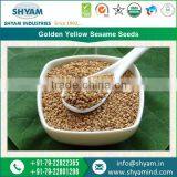 Top Selling Golden Sesame Seeds at Best Market Price