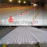 plastic circular hole chicken flooring for chicken house