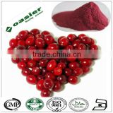 Direct Manufacturer supply cranberry fruit extract powder,proanthocyanidins,HPLC/UV
