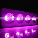 200-1200W Led Grow Light Full Spectrum for Plant, Cob Full Spectrum Led Grow Light Indoor Green House Use thumbnail-5