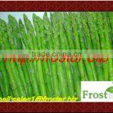 Frozen Green Asparagus thumbnail-1
