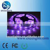 Purple LED Strip Light