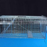 heavy duty collapsible coyote cage trap	for coyote trapping