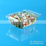 plastic salad container with lid