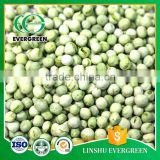 FD Frozen Dried Green Peas