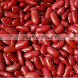 Kidney Beans thumbnail-1