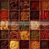 China Spice and Herbs-Seasoning Blends thumbnail-1