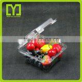 China Factory Promotion Clear Good Quality Cheap Fruit Blister Packaging thumbnail-1
