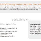 BEPERFECT BPE026 Secure Payment Skin Firming Muscle Stimulation Machine thumbnail-5