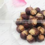 Indian Organic Natural Soapnut /Saponins Seeds in Second Grade thumbnail-1
