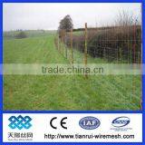 High Quality Galvanized Field Fence/grassland Fence