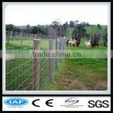 Low Carbon Steel Wire Horse Wire Mesh Fence Made in China thumbnail-5