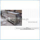 Electric Hard Nylon Brush Murphy Peeling Machine thumbnail-1