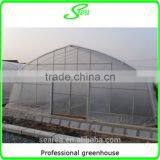 Galvanized Steel Tube Frame Greenhouse Commercial Greenhouse thumbnail-5
