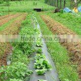 100G/M2 Weed Mats / PP Woven Fabrics thumbnail-3