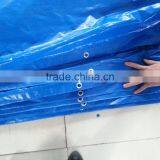 Blue Color PE Tarpaulin thumbnail-1