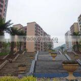 Artificial Date Palm Tree Fiberglass Tree Sale Fake Tree Outdoor Decoration thumbnail-5