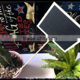Eco-friendly Plant Tag, Set of 6pcs thumbnail-3