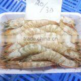 Sea Shrimps Penaeus Indicus thumbnail-3