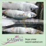 Mackerel Fish for Canned Mackerel Lot Number#kmw4036 thumbnail-1