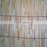 Reed Fence thumbnail-6