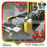 Protect Cover Pear Protection Paper Bag Fruit Protection Paper Bag thumbnail-4