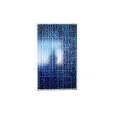 Sell Poly Crystalline Solar Module thumbnail-1