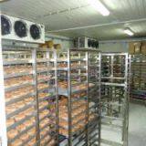 Frozen Meat Cold Storage thumbnail-2