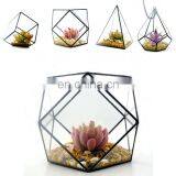 geometric terrarium geometric glass terrarium wholesale