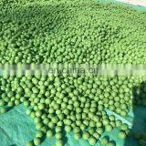 Factory Wholesale Price Scented Wool Dryer Balls thumbnail-2