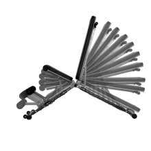 Adjustable Strength Training Bench for Full Body With Fast Folding thumbnail-1