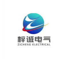 Shanghai Zicheng Electric Technology Co., Ltd.