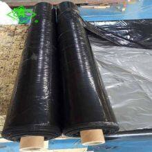Agriculture Black/Silver Greenhouse Plastic Mulch Film for Strawberry thumbnail-3