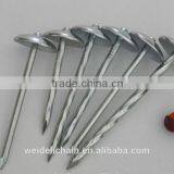Hardware Umbrella Roofing Nails
