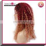 Unprocessed Remy Virgin Peruvian Human Hair Ombre Color Lace Front Wig thumbnail-2