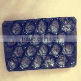 Black Colour PP Blister Tray Packaging for Fruit thumbnail-5