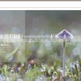 LED Wood Table Lamp LED Wooden Table Light JK-879-13 LED Wooden Table Lamp For Bedroom Hotel Lamp thumbnail-4