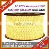SVAC 220V LED Strip SMD 3014 120LED/M Warm White Waterproof IP67 100M/Roll With One Set Free AC Plug Cable Super Bright New thumbnail-1