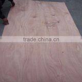 Rotary Cut Okoume Veneer thumbnail-5