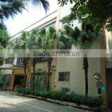 Guangzhou Shin Dorn Plastics Toy Co., Ltd. company overview - view 4 thumbnail