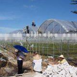 Greenhouse Cover Fabric (Heavy-weight Fabric) thumbnail-1