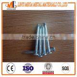 China Nails Factory Wholesale Concrete Nail Sizes Top Quality Angular Spiral Stainless Steel Concrete Nails thumbnail-4