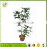 2015 Wholesale Factory Price Artificial Bamboo Tree for Home Decoration thumbnail-5